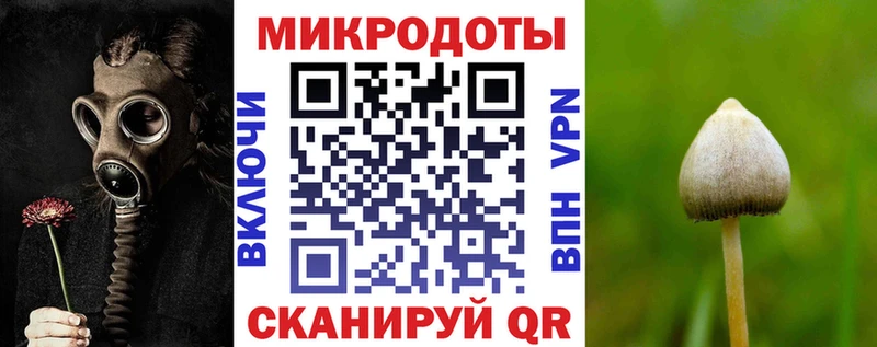 Галлюциногенные грибы Psilocybe  hydra ONION  Ессентукская 